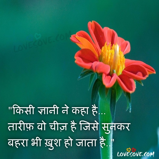 Good Morning Thoughts In Hindi, Anmol Bachan, Hindi Suvichar Meaning Full Quotes About Life For WhatsApp Status, Kisi Gyani Ne Kaha Hai Tarif Bo Chij Hai