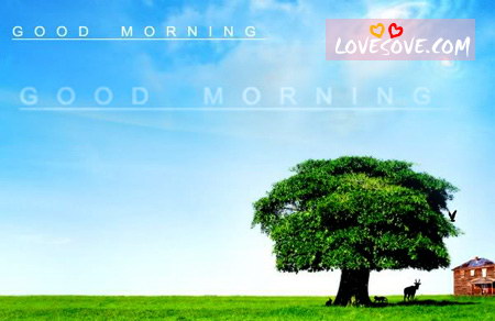 lovesove good morning 012, images