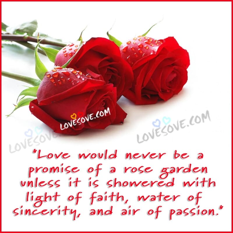 love-would-never-be-a-promise-love-quote