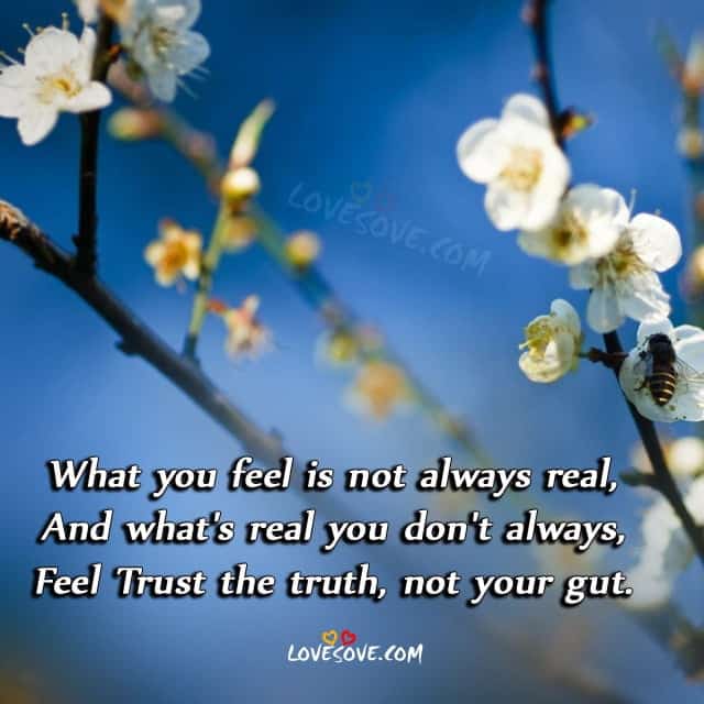 what -you-feel-is -not-always-real-inspire-quote