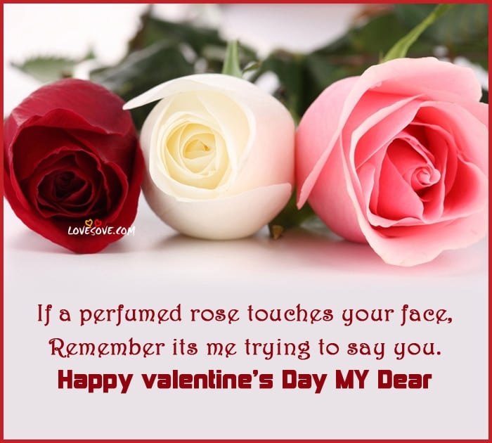 Valentine Day Rose Card Lovesove