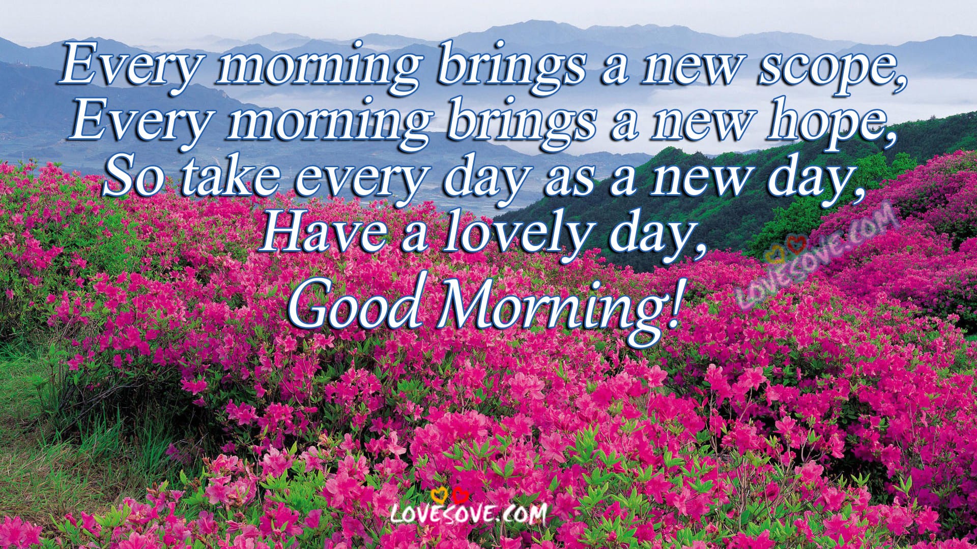 good morning wiahes image lovesove com, images