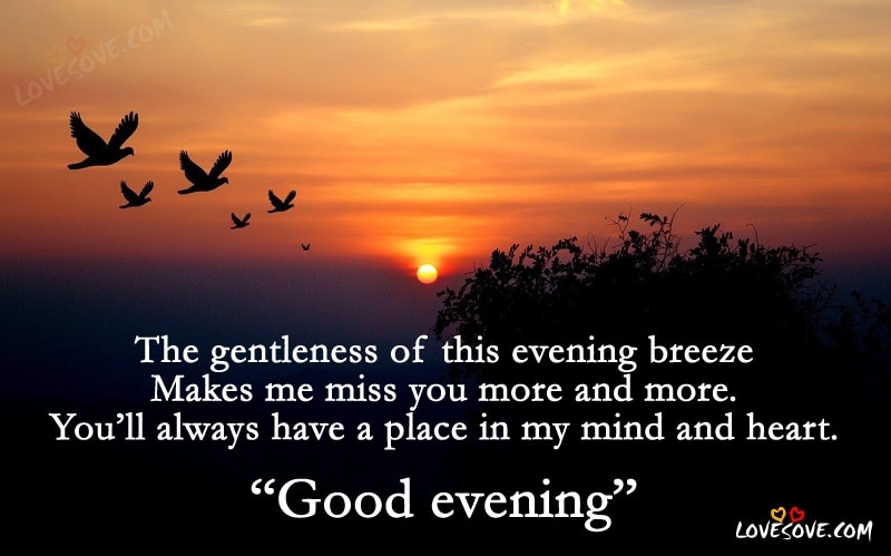 Good Evening Cards, anniversary greeting cards, The Gentleness Of This Evening Breeze - Good Evening Wishes Images, Good Evening Shayari For Family & Friends, Good Evening Wishes In English, Good Evening Shayari Images For Facebook, Good Evening Shayari Images For WhatsApp Status, Good Evening Wallpaper, Good Evening Shayari For Love One