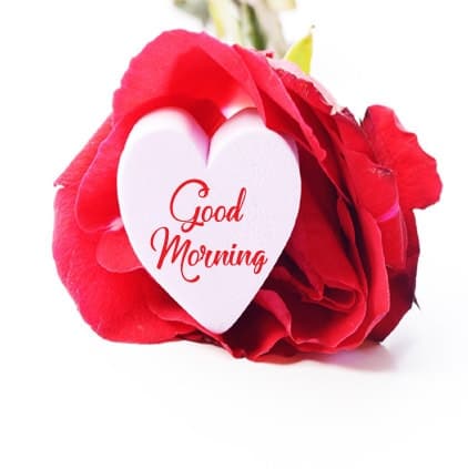 Good-Morning-Red-Heart-Profile-Picture-Facebook-WhatsApp-Status, , good morning red heart profile picture facebook whatsapp status
