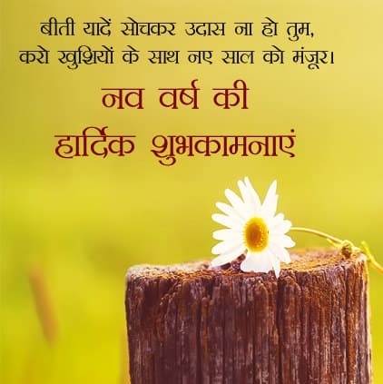 New Year 2019 Hindi Wishes Images, ,