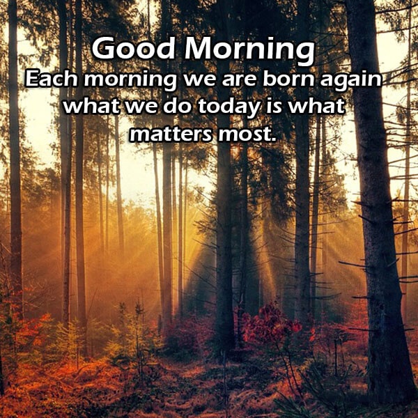 Each-morning-we-are-good-morning-status-LoveSove