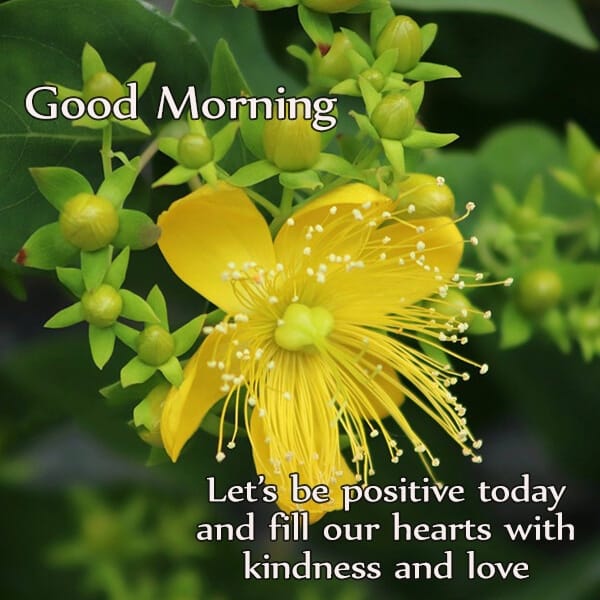 Lets-be-positive-today-good-morning-status-LoveSove