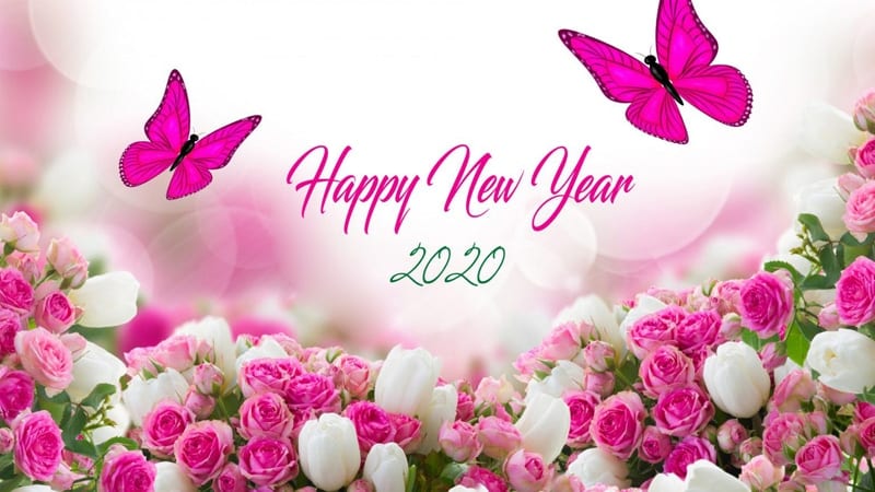 Happy-New-Year-LoveSove