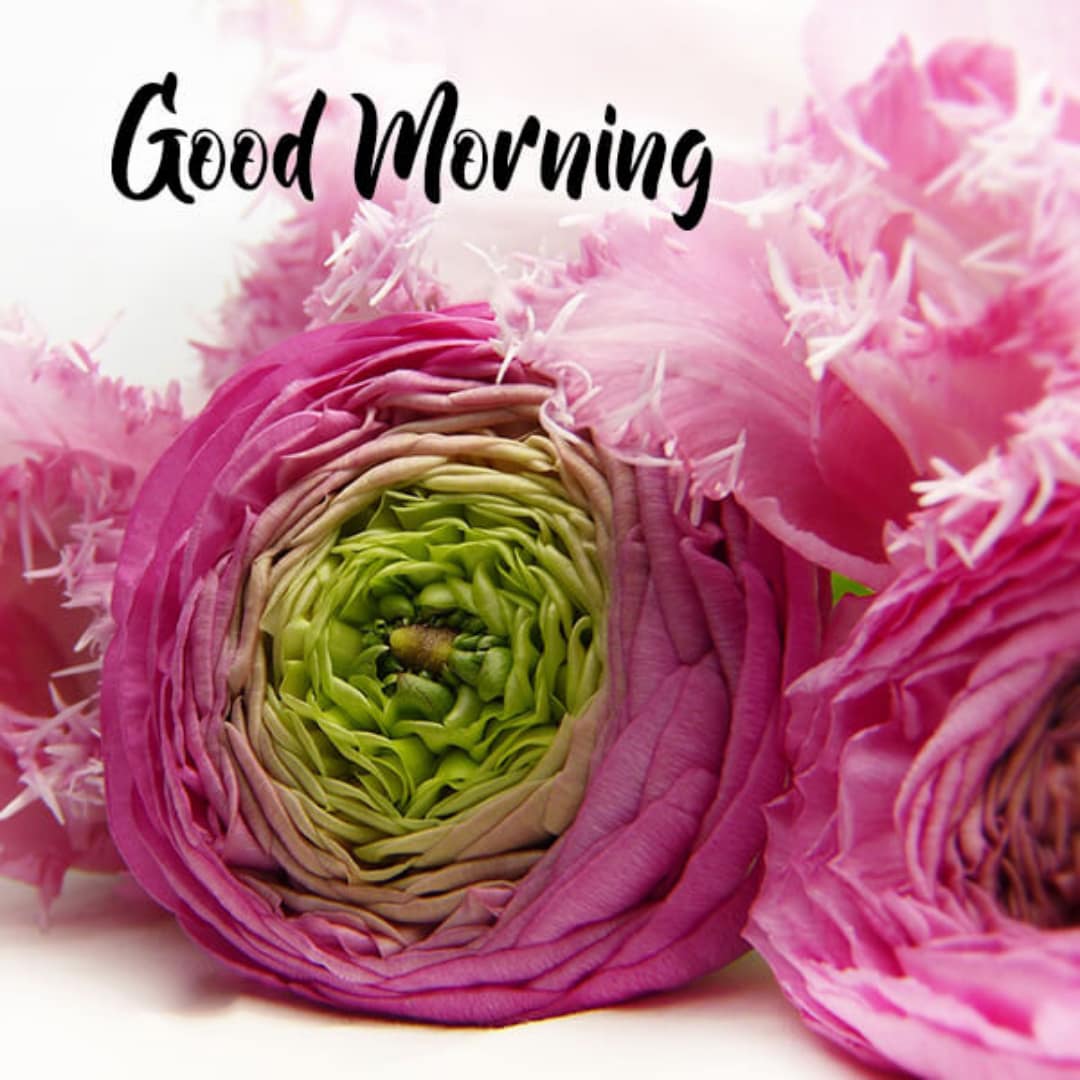 Good-Morning-Wishes-Sms-Lovesove