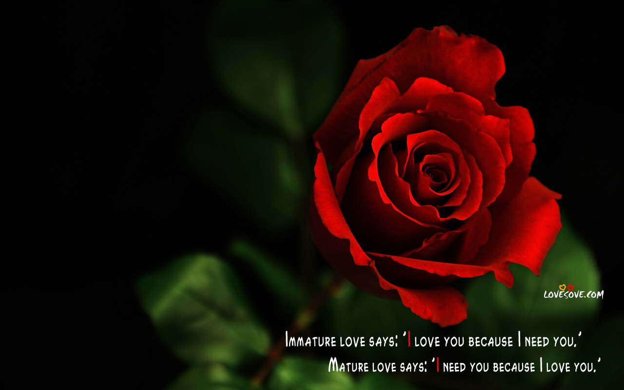 Best Love Wallpapers Love Shayari Wallpapers Love Quotes love hd wallpapers