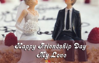 Happy Friendship Day Images to Wife