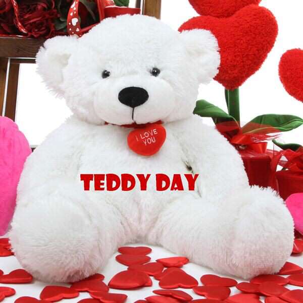 Happy Teddy Day Status Shayari, Teddy Day Images with Quotes, Teddy Day Messages for Lovers, Teddy Day Love Quotes in Hindi, हैप्पी टेडी डे शायरी विथ व्हाट्सप्प इमेजेज, Happy Teddy Day Status for Boyfriend-Him, teddy-day-fb-status-lines, awesome-quotes-on-teddy-day, cute-special-happy-teddy-day-status, one-line-awesome-quotes-on-teddy-day, teddy-bear-baby-sms-in-hindi, Teddy Bear Pics Images, Happy Teddy Day 2018 Status Shayari, Teddy Bear Pics Images, teddy bear images with love quotes, teddy day special status, Happy Teddy Day 2018 Status Shayari, Teddy Bear Pics Images, Teddy bear day shayari images for facebook, Happy teddy day shayari images for whatsapp status