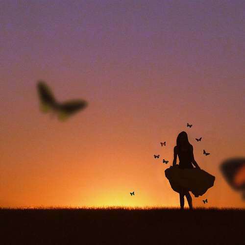 alone girl butterfly lovesove
