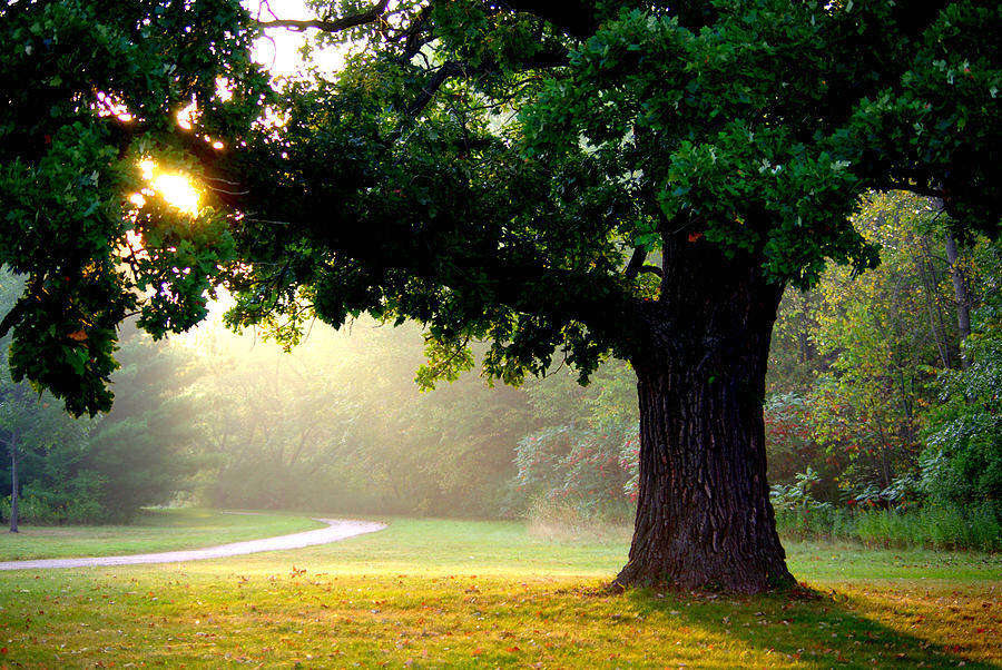 I Hate You Shayari Wallpaper