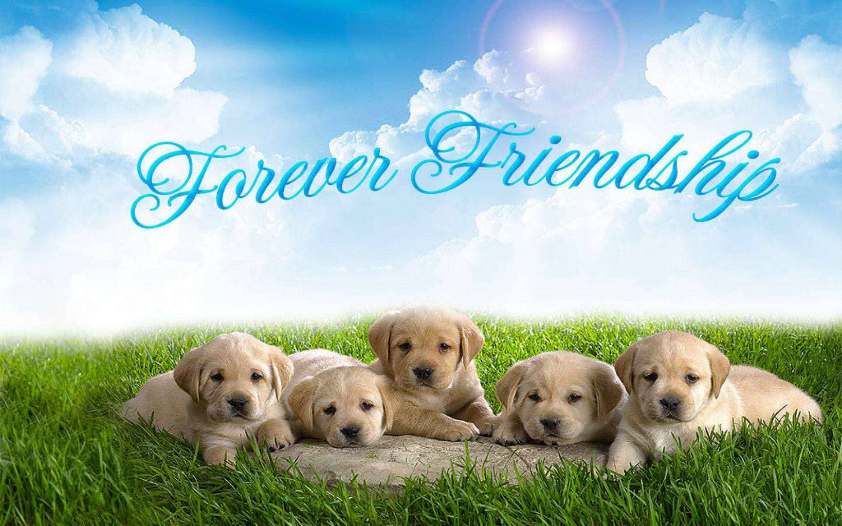 Friends-forever-puppy-group