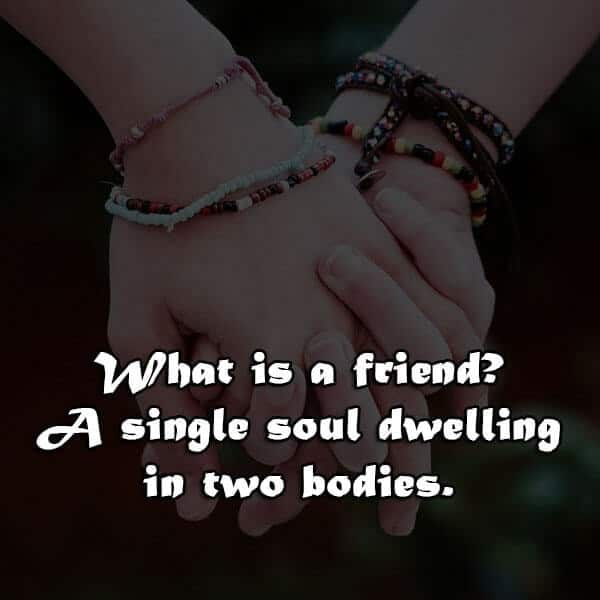 Friendship, , what is a friend a single friendship status lovesove