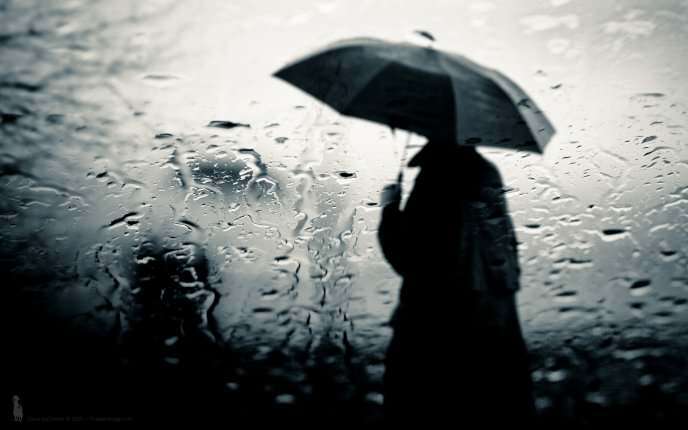 sad boy umbrella dewdrop lovesove, sher-o-shayari