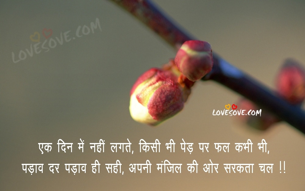 Ek din mein nahin lagte fal kabhi bhi – Inspiring Status Lines In Hindi, , hindi success quote