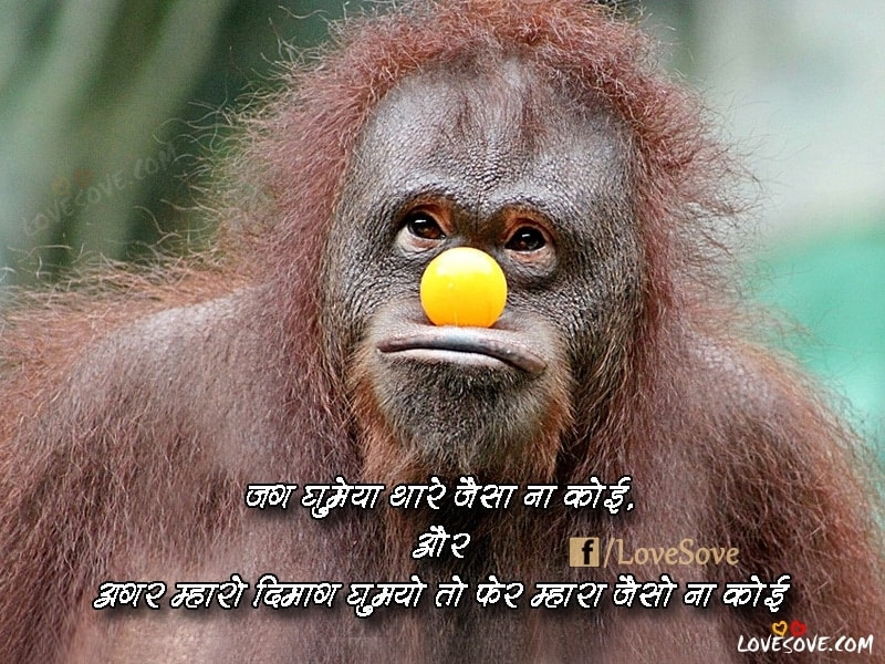 Best Hindi Funny Jokes, Funny Images, Funny Status, Funny Images For Facebook, Funny Images For WhatsApp Status, Funny Meme Images