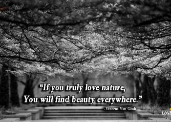 nature quotes, nature images, nature wallpapers, nature background, nature quotes, nature images, nature wallpapers, nature background, if you truly love nature you will find beauty everywhere nature quotes nature images