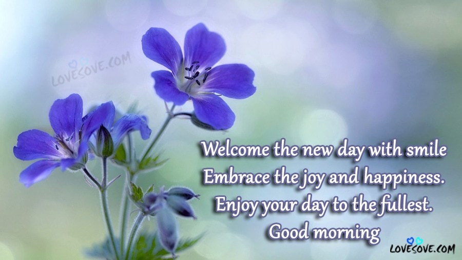 welcome the new day with smile good morning wishes wallpapers images lovesove, images