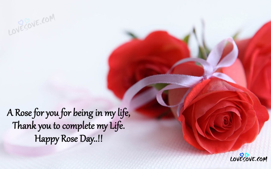 Happy Rose Day Quotes Status Images Pics Wallpapers Sms