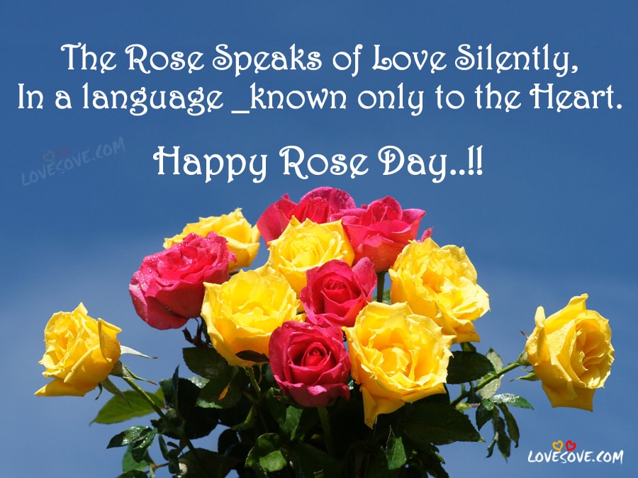 Happy Rose Day 2023 WhatsApp Status, Rose Quotes Images