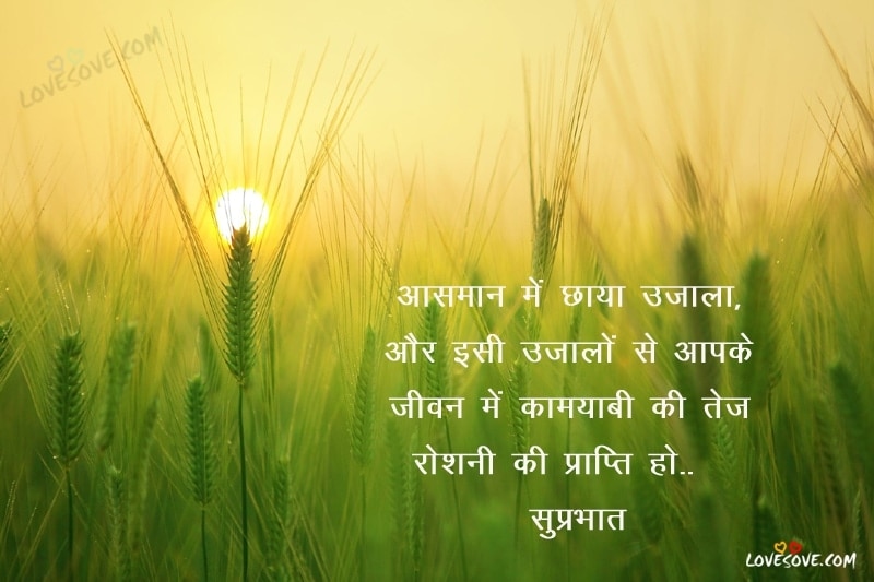 Asman me chhaya ujala good morning shayari in hindi good morning wishes lovesove good morning wallpapers, Images