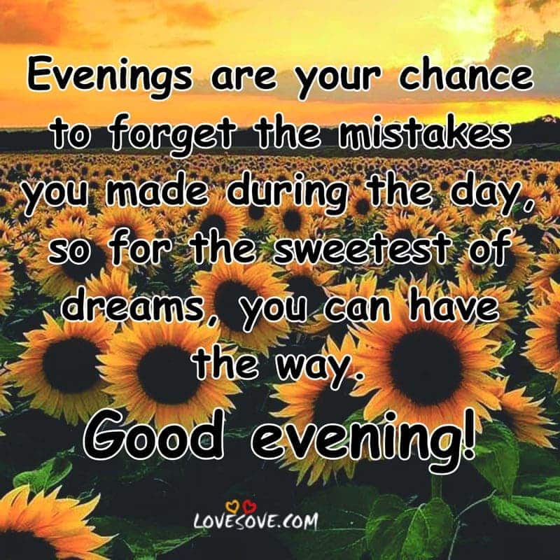 Best Evening Status Images, Good Evening Wishes Images, Best Evening Status Images, Good Evening Wishes Images, good evening images in english lovesove