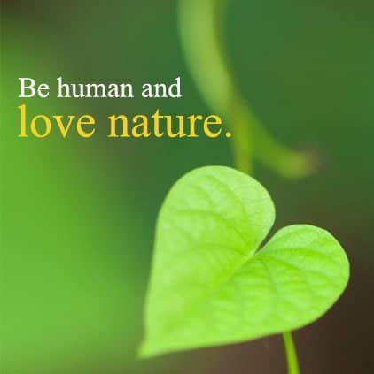 Beautiful Nature Quotes Images, Nature Hindi Status For Whatsapp