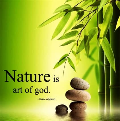 Beautiful Nature Quotes Images, Nature Hindi Status For Whatsapp, Beautiful Nature Quotes Images, beautiful nature images with quotes