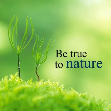 Beautiful Nature Quotes Images, Nature Hindi Status For Whatsapp, Beautiful Nature Quotes Images, dp of nature