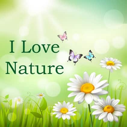 Beautiful Nature Quotes Images, Nature Hindi Status For Whatsapp, Beautiful Nature Quotes Images, i love nature
