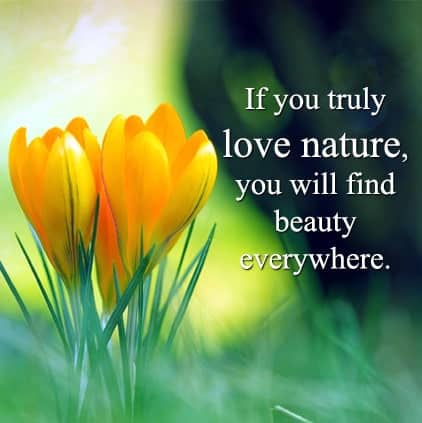 beautiful nature quotes images, nature hindi status for whatsapp, beautiful nature quotes images, nature quotes with images
