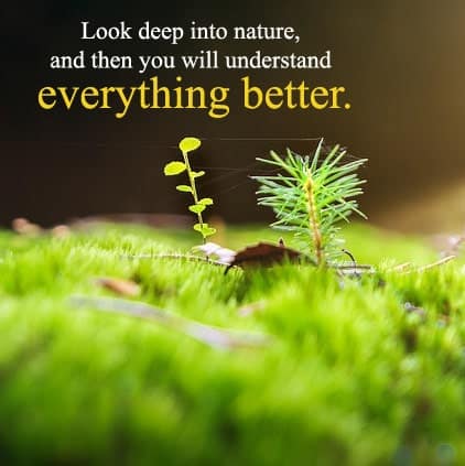 Beautiful Nature Quotes Images, Nature Hindi Status For Whatsapp, Beautiful Nature Quotes Images, nature quotes