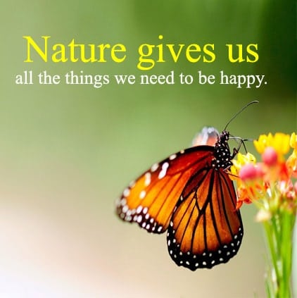 Beautiful Nature Quotes Images, Nature Hindi Status For Whatsapp, Beautiful Nature Quotes Images, nature status in english with images