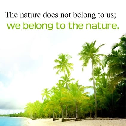 Beautiful Nature Quotes Images, Nature Hindi Status For Whatsapp, Beautiful Nature Quotes Images, nature status in english