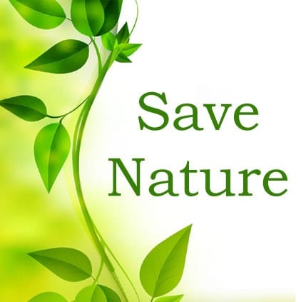 Beautiful Nature Quotes Images, Nature Hindi Status For Whatsapp, Beautiful Nature Quotes Images, save nature dp