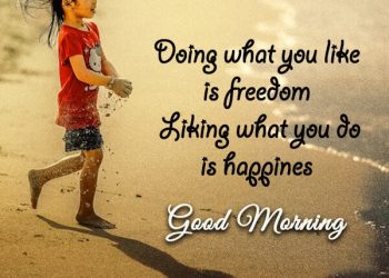 doing what you like is freedom, , doing what you like good morning status lovesove