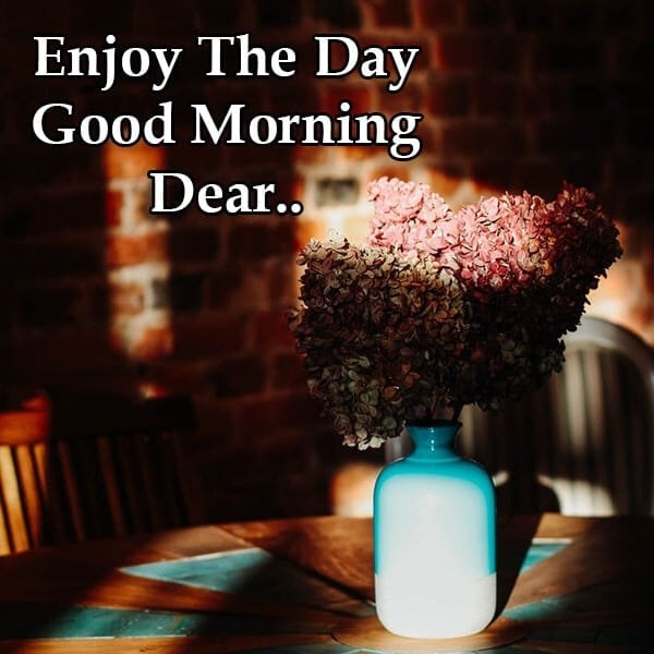 Enjoy The Day Good Morning Dear, , enjoy the day good morning status lovesove