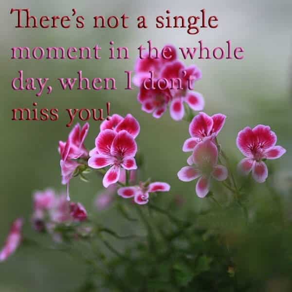 There’s Not A Single Moment, , there is not a single miss you status lovesove