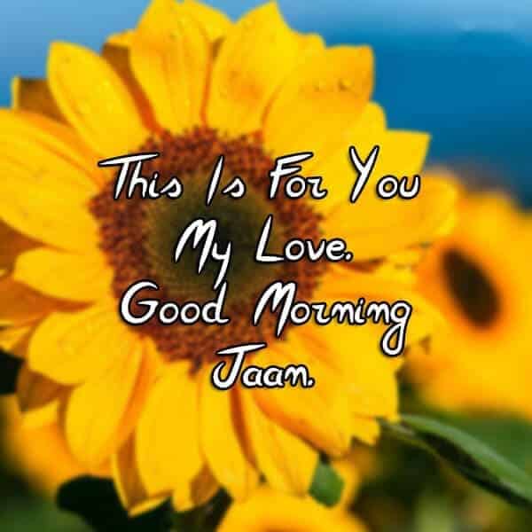 good morning sms in hindi, morning status, good morning status, Good morning jaan whatsapp status, good morning my love