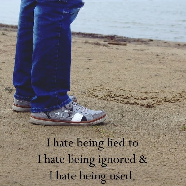 I Hate Being Lied To I Hate Being