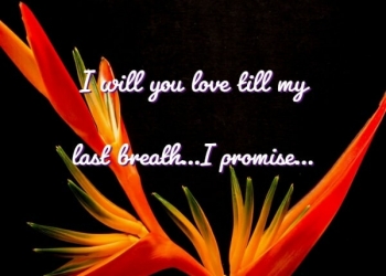 i will you love till my last breath, , i will you love promise messeges lovesove