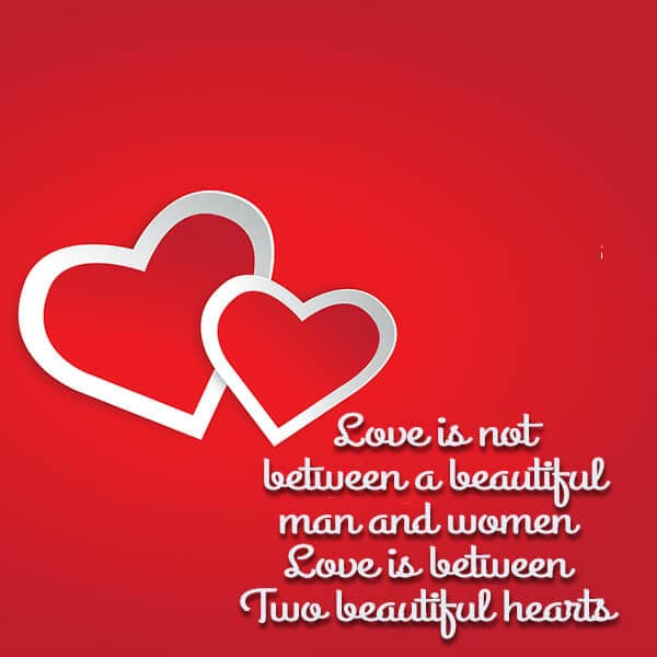 Love Is Not Between A Beautiful