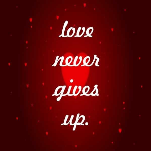 Love Status Images In English, , love never gives love status lovesove