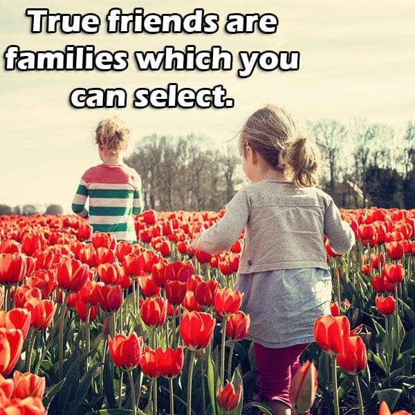 Friendship, , cute friends forever images friendship status lovesove