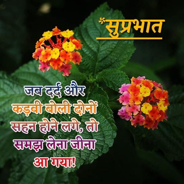 à¤¸ à¤ª à¤°à¤­ à¤¤ à¤¸ à¤µ à¤ à¤° Inspirational Good Morning Suvichar In Hindi हिंदी सुप्रभात दोपहर और शुभ रात्रि बधाई और शुभकामनाएं आज स्थापित करें! à¤¸ à¤ª à¤°à¤­ à¤¤ à¤¸ à¤µ à¤ à¤° inspirational good morning suvichar in hindi