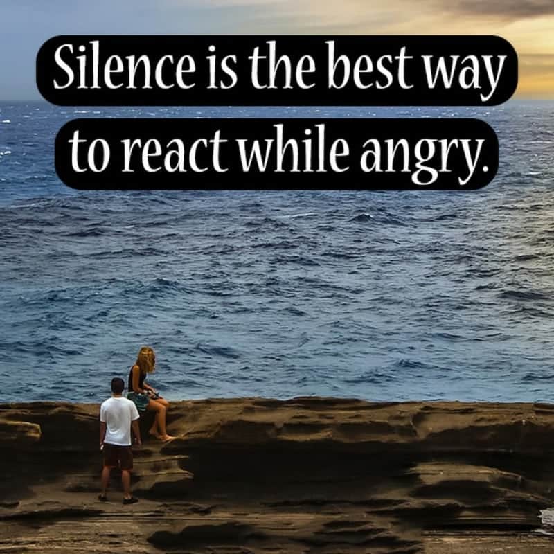 Silence Is The Best Way To React