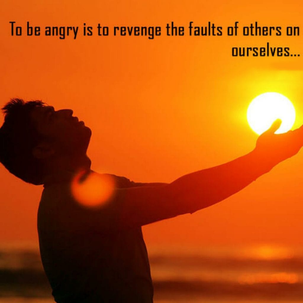 To Be Angry Is To Revenge The Faults, , angry message for friend in english lovesove